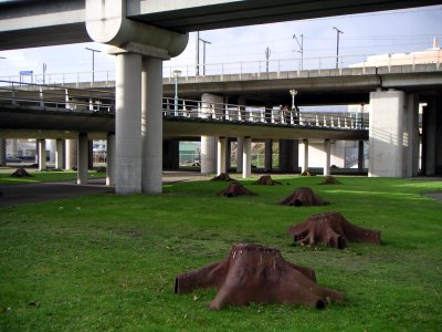Dead Forest