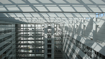 Den Haag